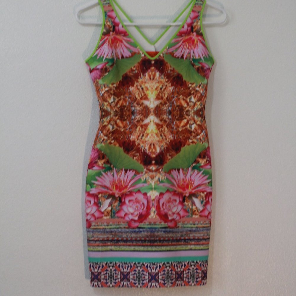 Clover Canyon Dress